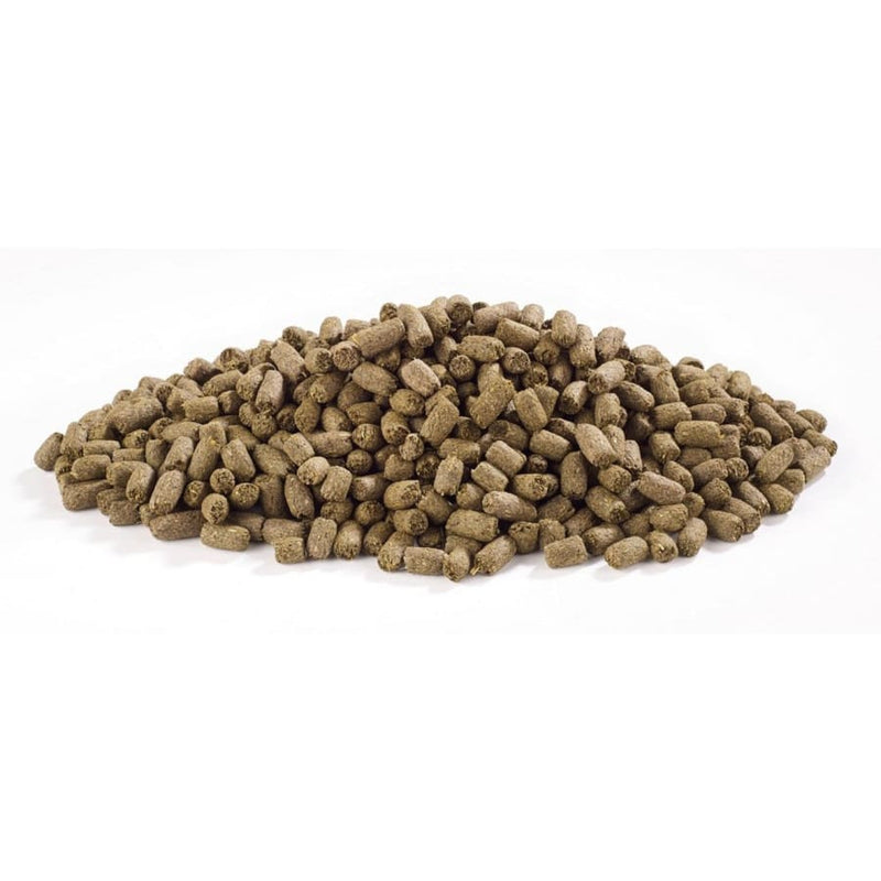 Harringtons Optimum Guinea Pig Food -Harrington