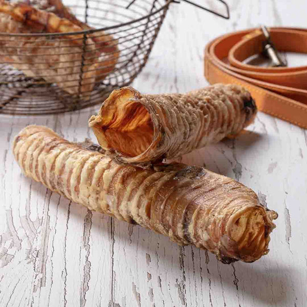 Holling Trachea - Single Pack, natural beef dog treat, supports joint health, hollow for stuffing.