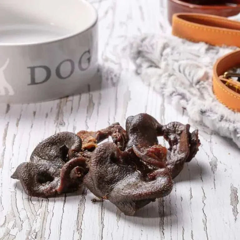 Hollings Pig Snouts Dog Treats on wooden table with dog bowl and leash.