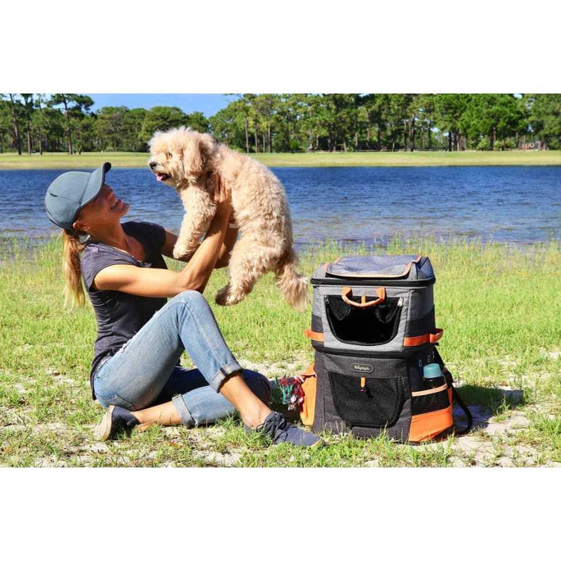 Ibiyaya Two Tier Pet Backpack
