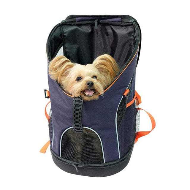 Ultralight backpack pet carrier with dog, hands-free design, Ibiyaya® brand.