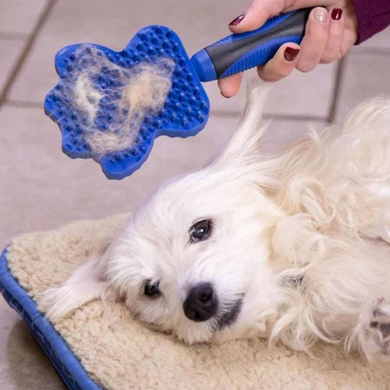 JML Groom Glider Pet Grooming Brush gently detangling and massaging dog's fur on a cushion.