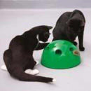 Two black cats playing with the JML Pop N Play Interactive Cat Toy.
