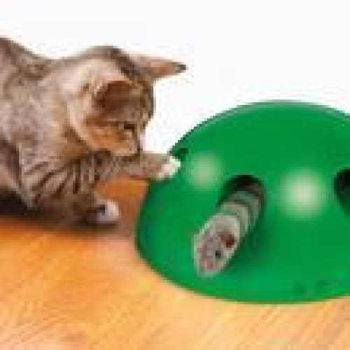 Cat playing with JML Pop N Play Interactive Cat Toy with holes and a mouse.