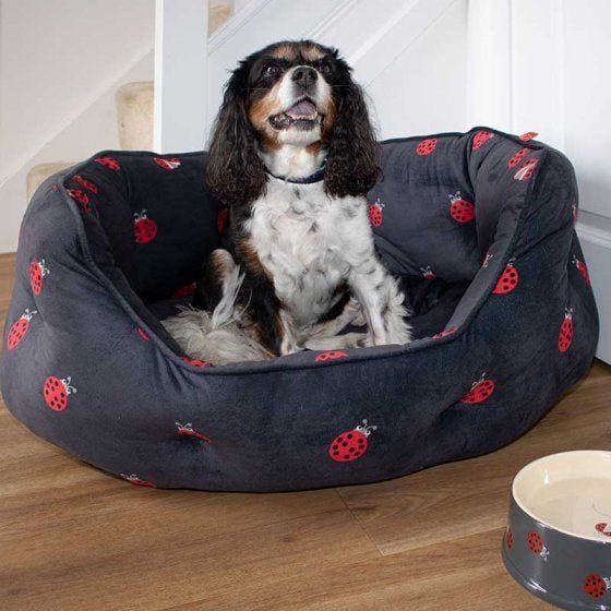 Lady Bird Oval Dog Bed -Zoon5050642044370
