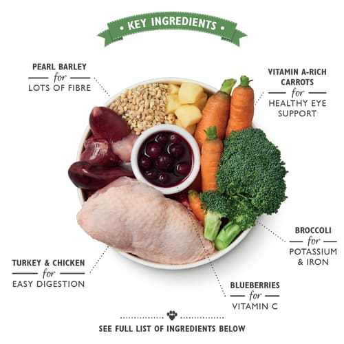 Key ingredients in Lily's Kitchen Chicken & Turkey Casserole wet dog food, including turkey, chicken, carrots, broccoli, blueberries, and pearl barley.