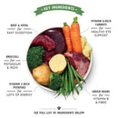 Lily's Kitchen Cottage Pie Complete Wet Food for Dogs 400g - Lilys Kitchen5060184240024