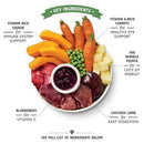 Lily's Kitchen Lamb Hotpot Complete Wet Food for Dogs 400g - Lilys Kitchen5060184240017