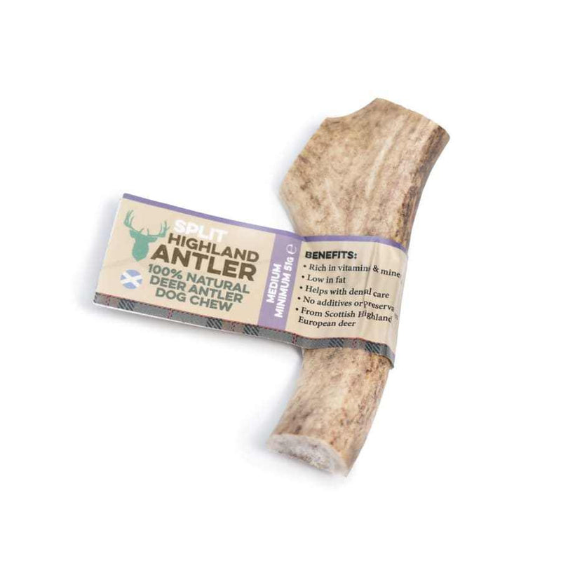 NOVA Dog Chew Highland Antler - Natural, long-lasting deer antler for canine dental health and entertainment.