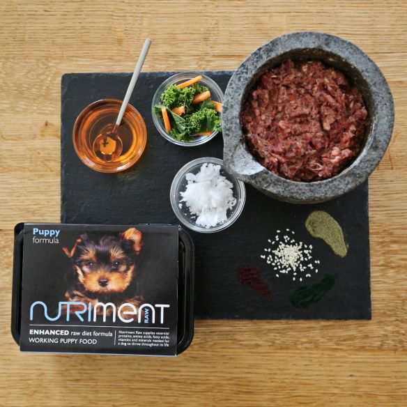 Nutriment Raw Puppy Formula Dog Food with fresh ingredients on wooden table.