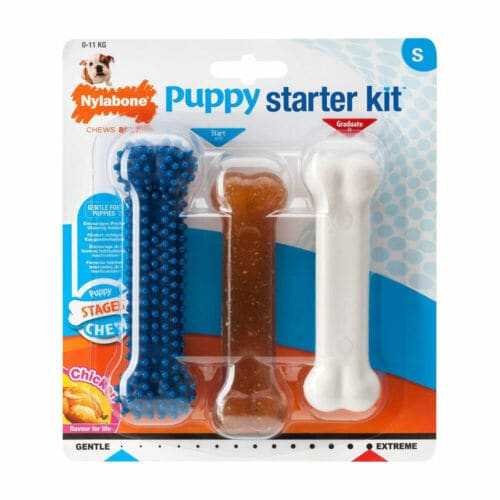 Nylabone Puppy Starter Kit with three chew bones in package for teething and chewing needs.