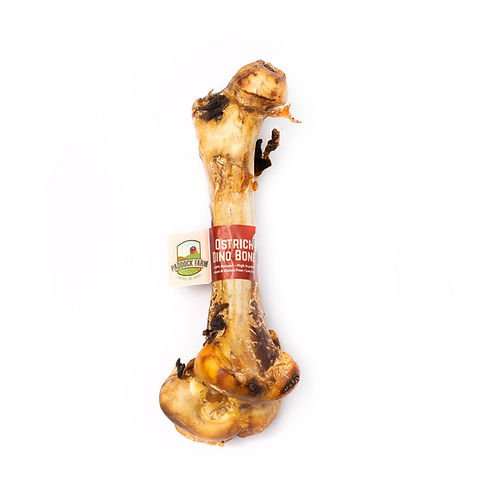 Ostrich Dino Bone Dog Treat - natural lean protein chew for dogs.