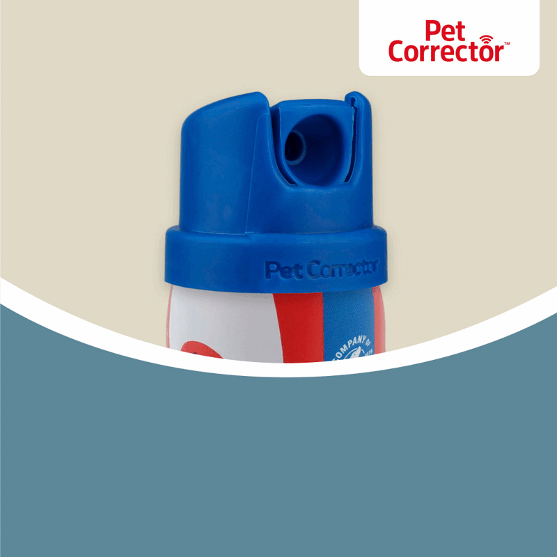 Pet Corrector Dog Training Spray with new built-in safety cap for stopping unwanted dog behaviors.