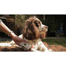 Photizo Vetcare - Red Light Therapy Unit - Photizo