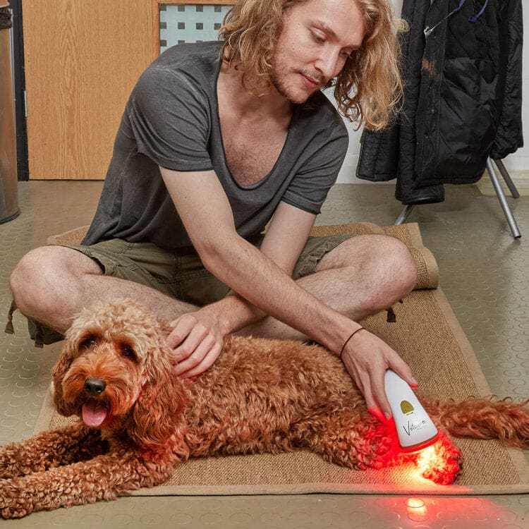 Man using Photizo Vetcare - Red Light Therapy Unit on a dog for pain relief and healing.