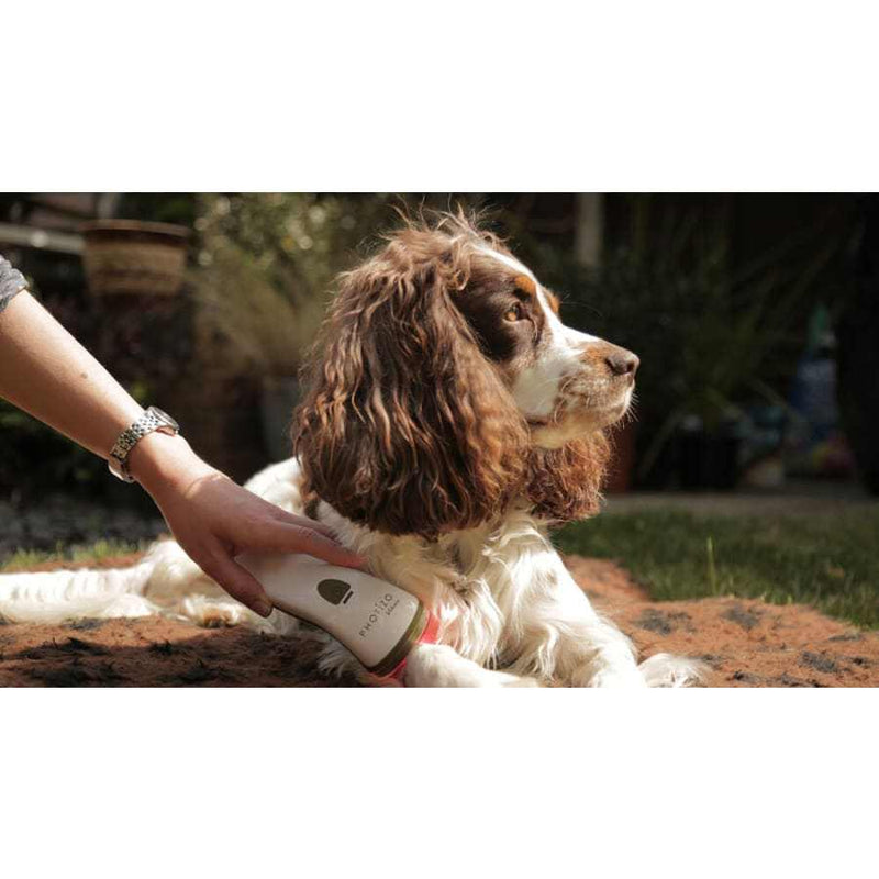Dog receiving therapy with Photizo Vetcare Red Light Therapy Unit for pain relief and healing.
