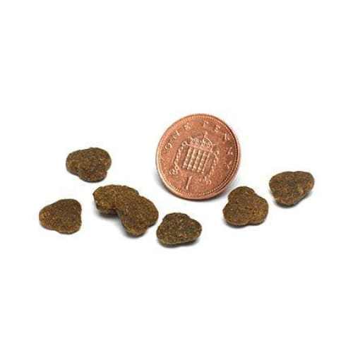 Piccolo chicken and duck dog dry food kibble next to a penny for size comparison, ideal for small breed dogs.