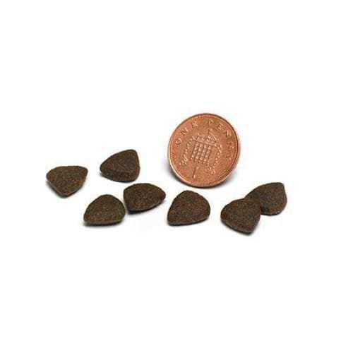Piccolo Senior Light Dog Dry Food kibble size comparison with a coin.