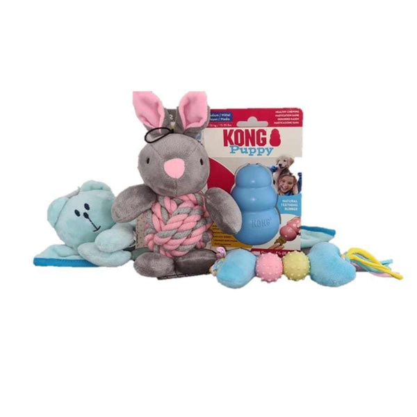 Puppy My First Toys Boy Bundle with blue blankie, Ancol teether toy, KONG puppy toy, and rabbit rope toy.