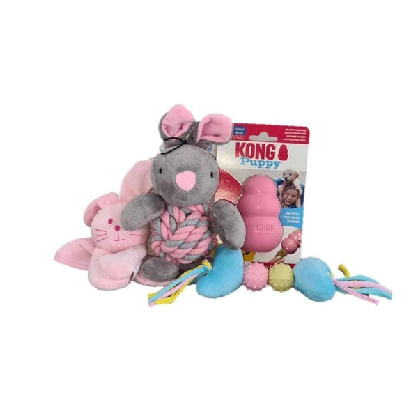 Puppy My First Toys Girl Bundle with pink blankie, Ancol teether, KONG puppy toy, and rabbit rope toy.