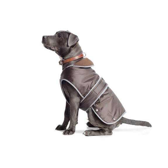 Ancol Stormguard Brown Waterproof Dog Coat with fleece lining and reflective edging on a dog.