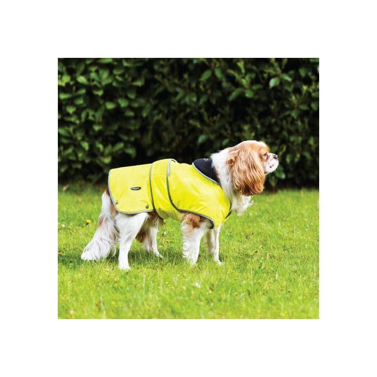 Stormguard Hi Viz Yellow Waterproof Dog Coat -Ancol5016646803467