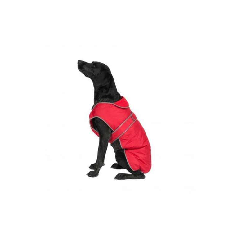 Ancol Stormguard Red Waterproof Dog Coat on a black dog, featuring a fleece lining and reflective edging.