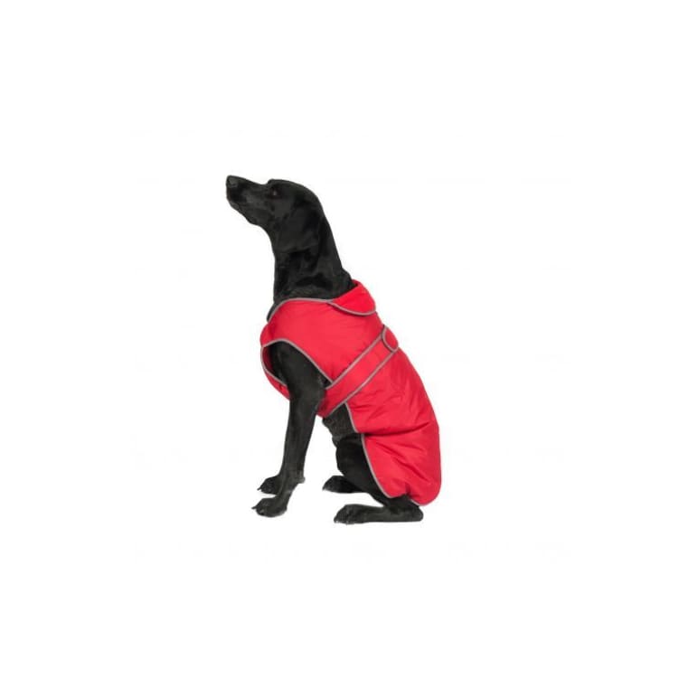 Stormguard Red Waterproof Dog Coat -Ancol5016646801517