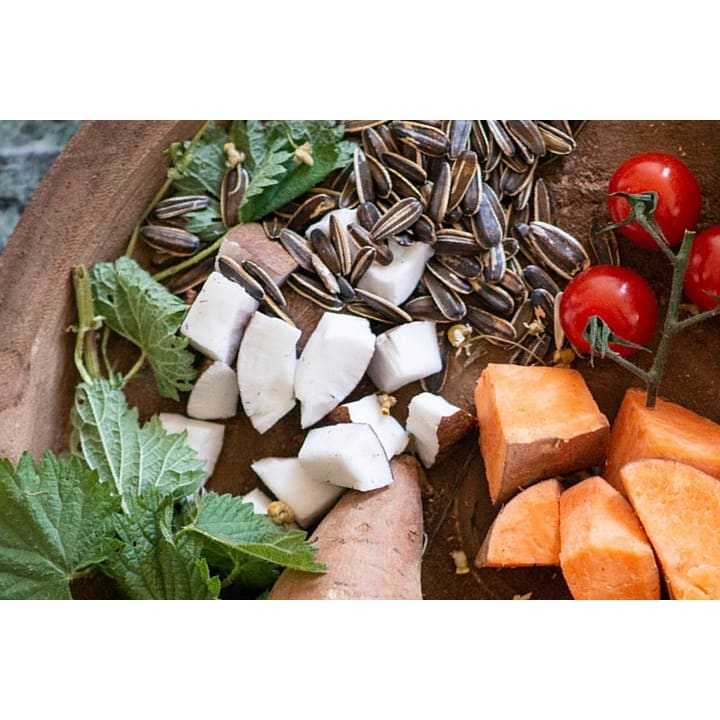 Tribal Cheese, Carrot & Sunflower Seed Dog Biscuits. 125g -Tribal5060372412011