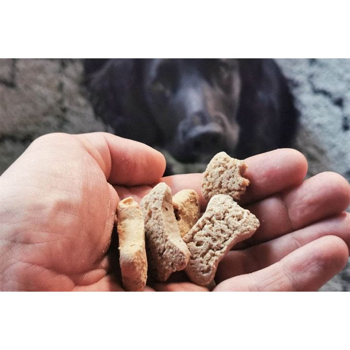 Tribal Coconut, Banana & Peanut Butter Dog Biscuits. 125g -Tribal5060372411984