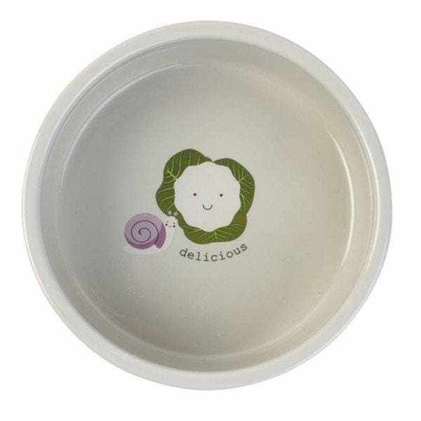 Veggie Ceramic Dog Bowl - Zoon5050642040082